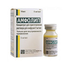 Амфолип концентрат для приготовления раствора для инфузий 5 мг/мл флакон 10 мл
