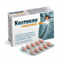 Келтикан комплекс капсулы 20 шт. (БАД) Келтикан комплекс капсулы 20 шт. (БАД)